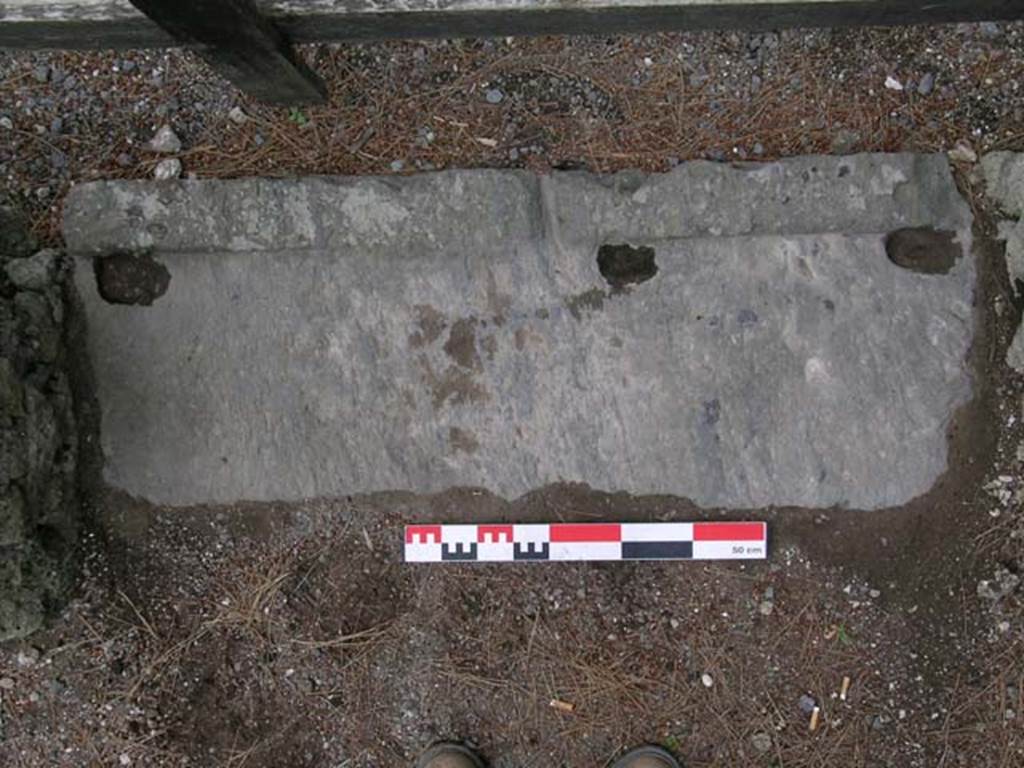 A picture containing building, ground, wall, animal
Description generated with high confidence